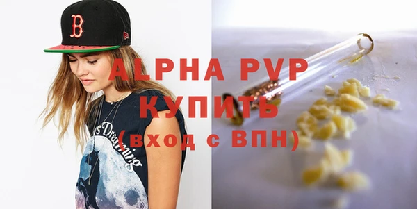 шишки Беломорск