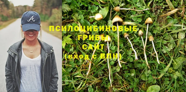 спайс Белокуриха