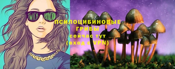 шишки Беломорск