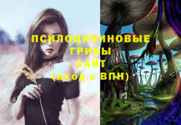 гидропоника Балабаново