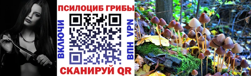 Псилоцибиновые грибы Cubensis  Купить где  Новоалександровск 